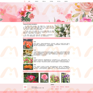 植物-花卉网-2387